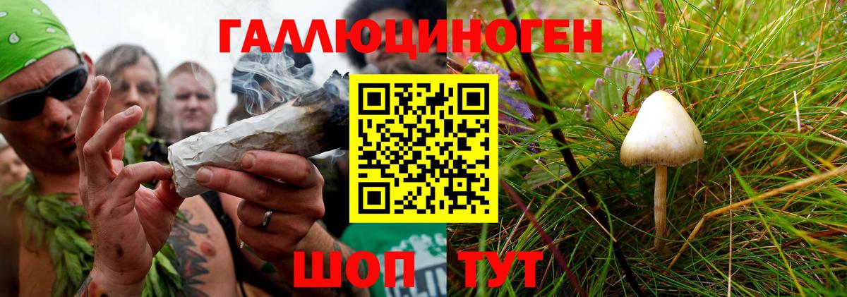 Псилоцибиновые грибы мицелий Амурск