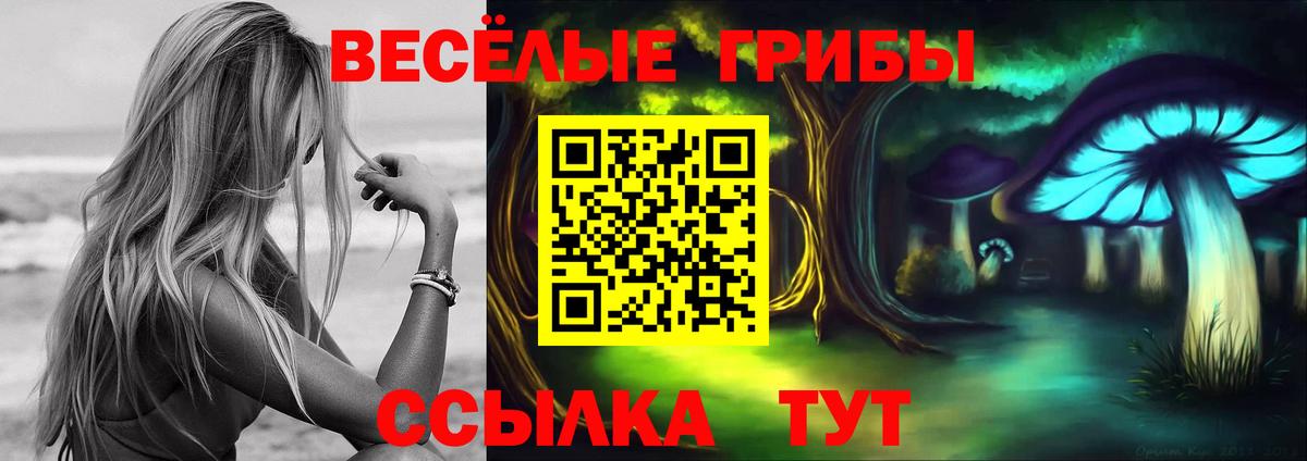 Галлюциногенные грибы MAGIC MUSHROOMS  Вход с VPN  Амурск 